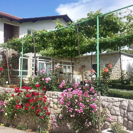 Pansion Pero Elez 3*